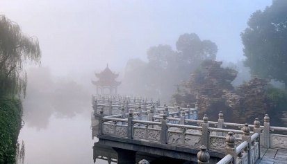 小雪丨花雪随风不厌看，一片飞来一片寒